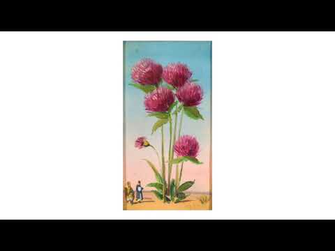 Video: Gazzera Romano