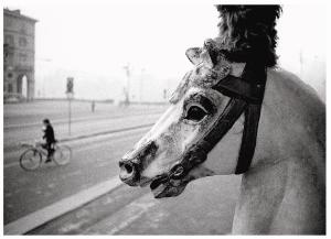 AUGUSTO CANTAMESSA, "Cavallo".
