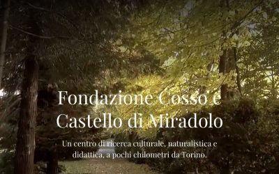 L’ARTE POVERA SPIEGATA DA FRANCESCO POLI