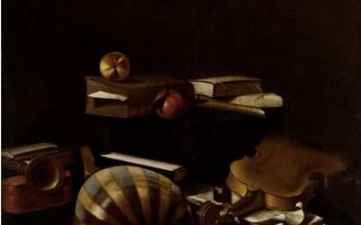 COLLEZIONE CERRUTI, COLLEZIONE DAL VIVO|Loredana Carena|